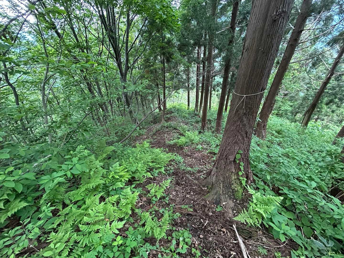 結構急