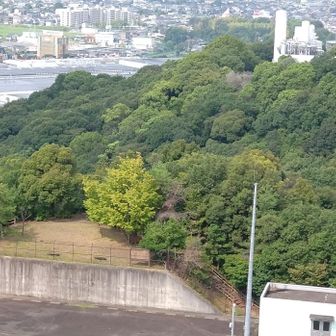 あの広場から歩いて来ました