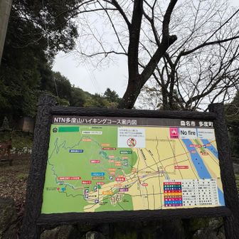 距離が短い健脚コースで登る🚶‍♀️‍➡️