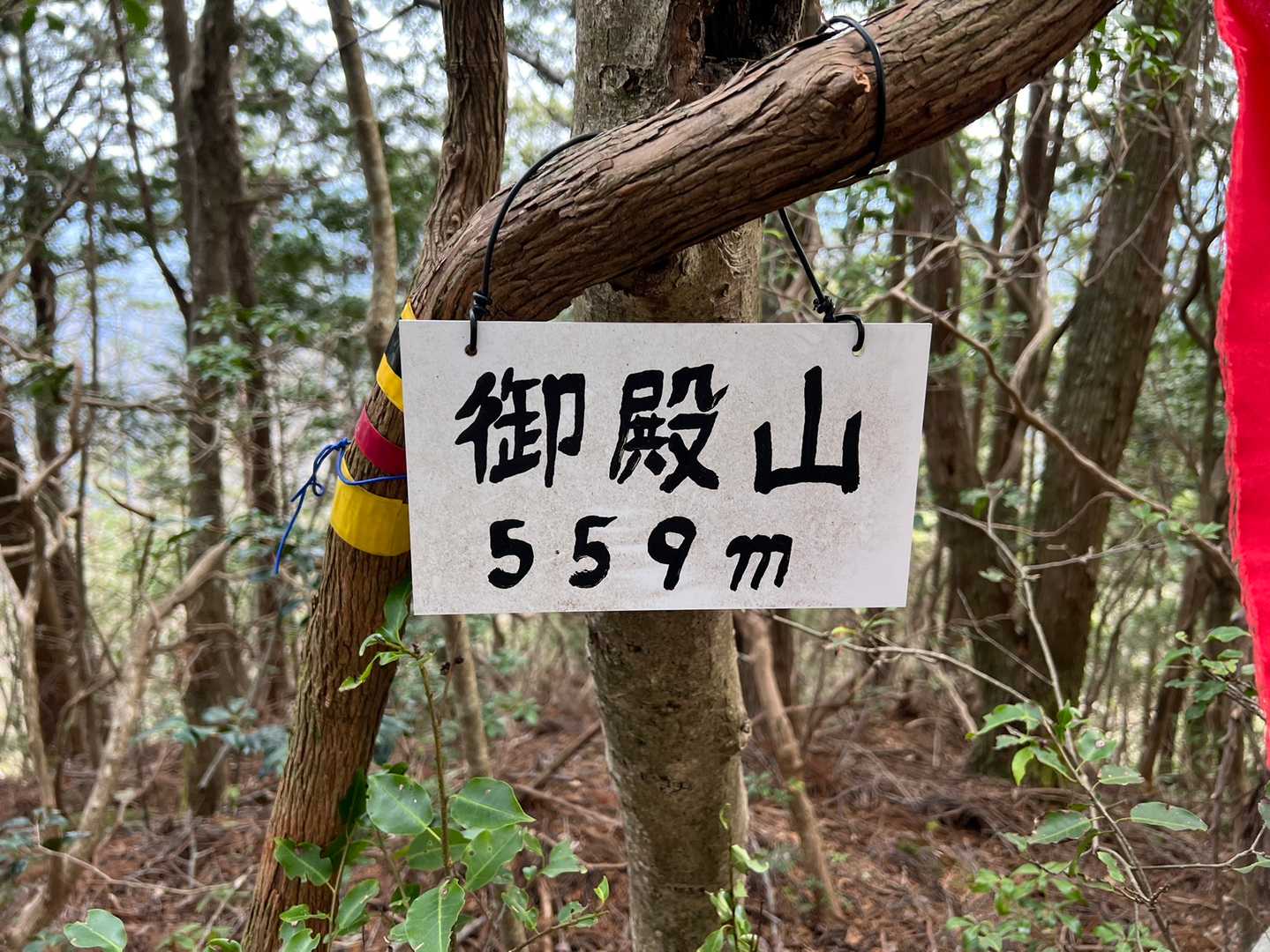 山頂到着