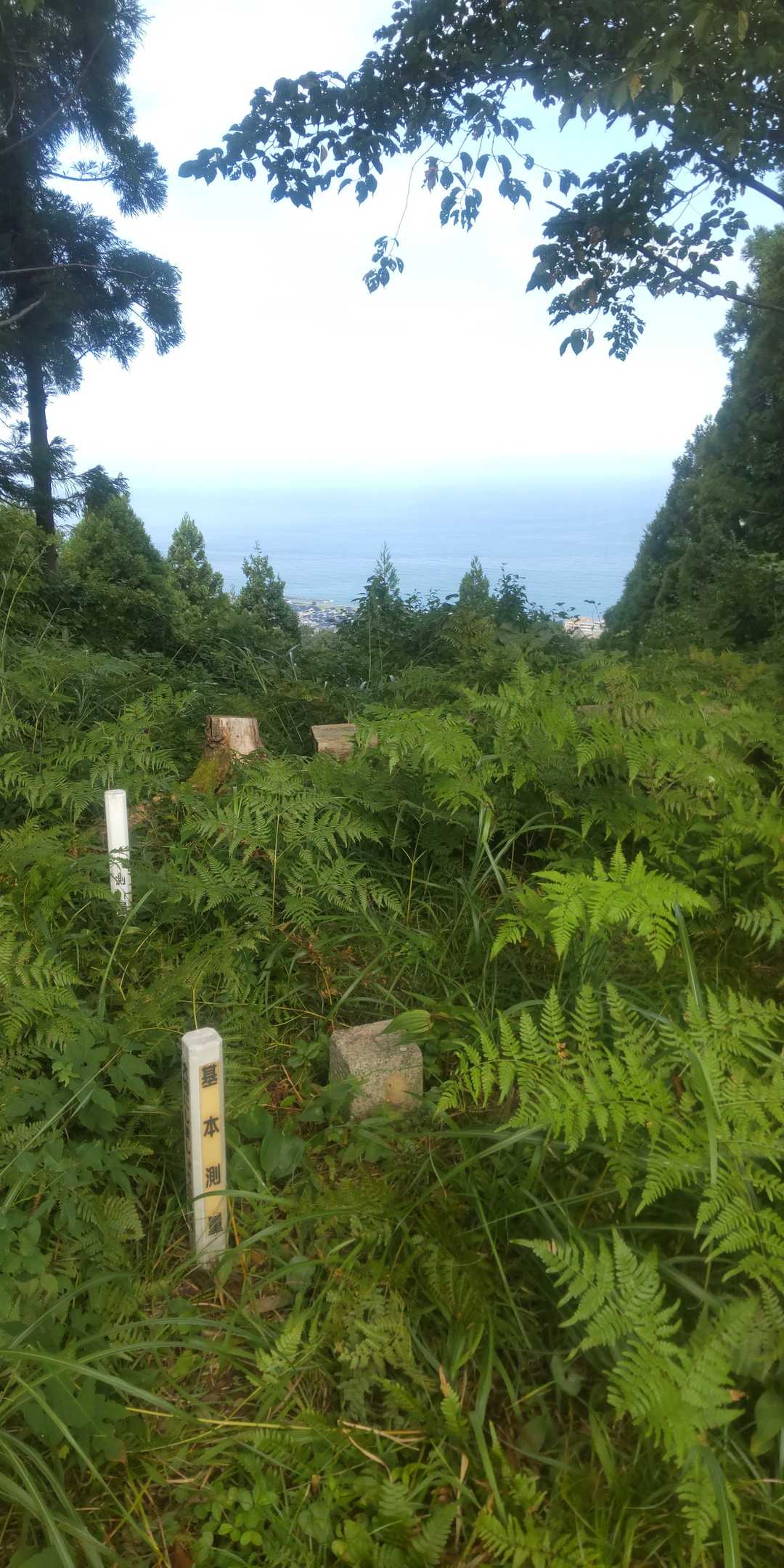 三等三角点、展望もある