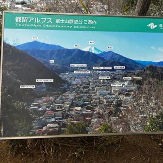 富士山展望台に寄るが