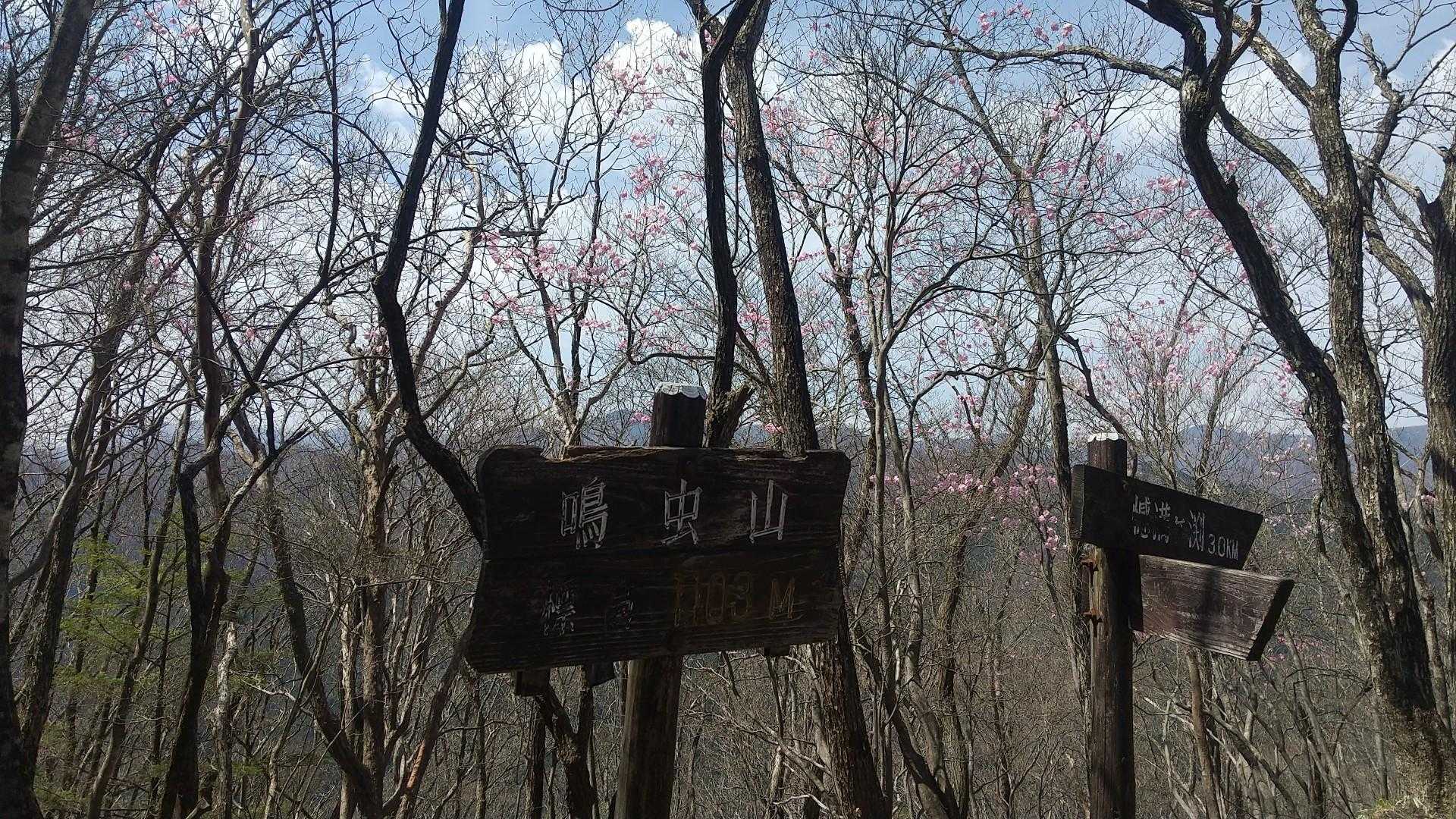 鳴虫山