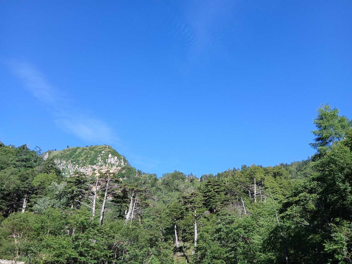 金精峠登山口-金精峠-温泉ヶ岳-根名草山 往復コースの写真
