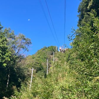 ロープウェイが発車してきました🚡