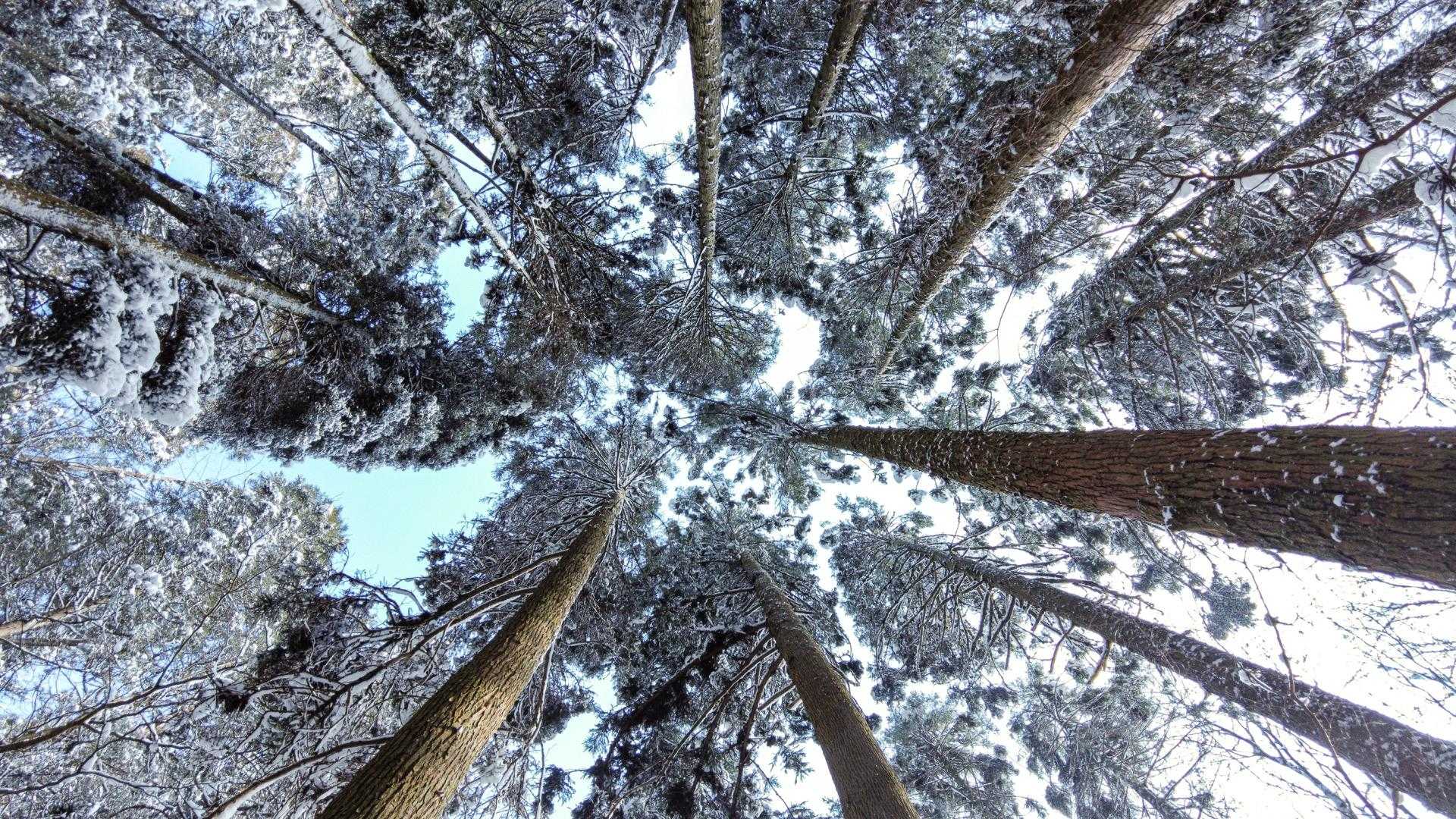 雪ー