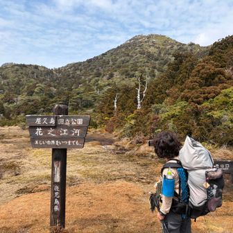 黒味岳と花之江河
標高約1,600m
日本最南端の高層湿原のひとつ