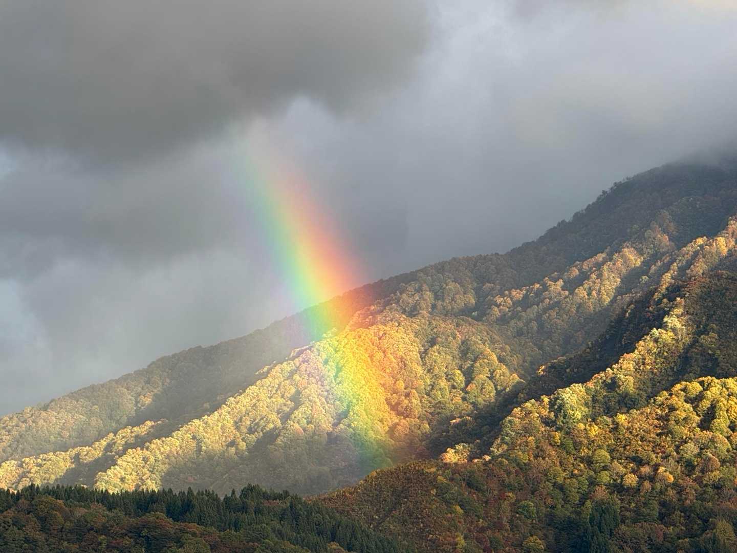 坊谷山-愛宕山 往復コースの写真