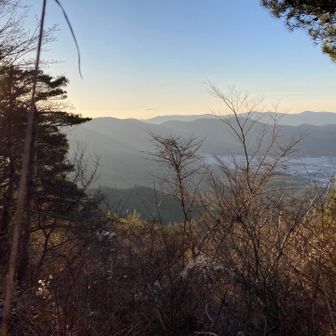 不動沢登山道を登った先の稜線から