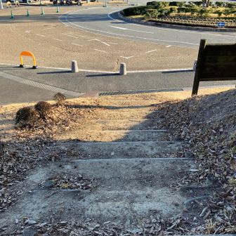 帰ってきました。疲れた