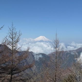 はぁ～　最っこう
手前に見える尾根、西丹沢からの檜洞丸だよなぁ～歩いた時はガスっててなんも見えんかったけど、天気良い日は気持ちよさそう・・・多分行かないけど・・・トゲトゲがしんどかったから・・・