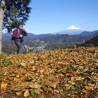 のんびり   かずさん