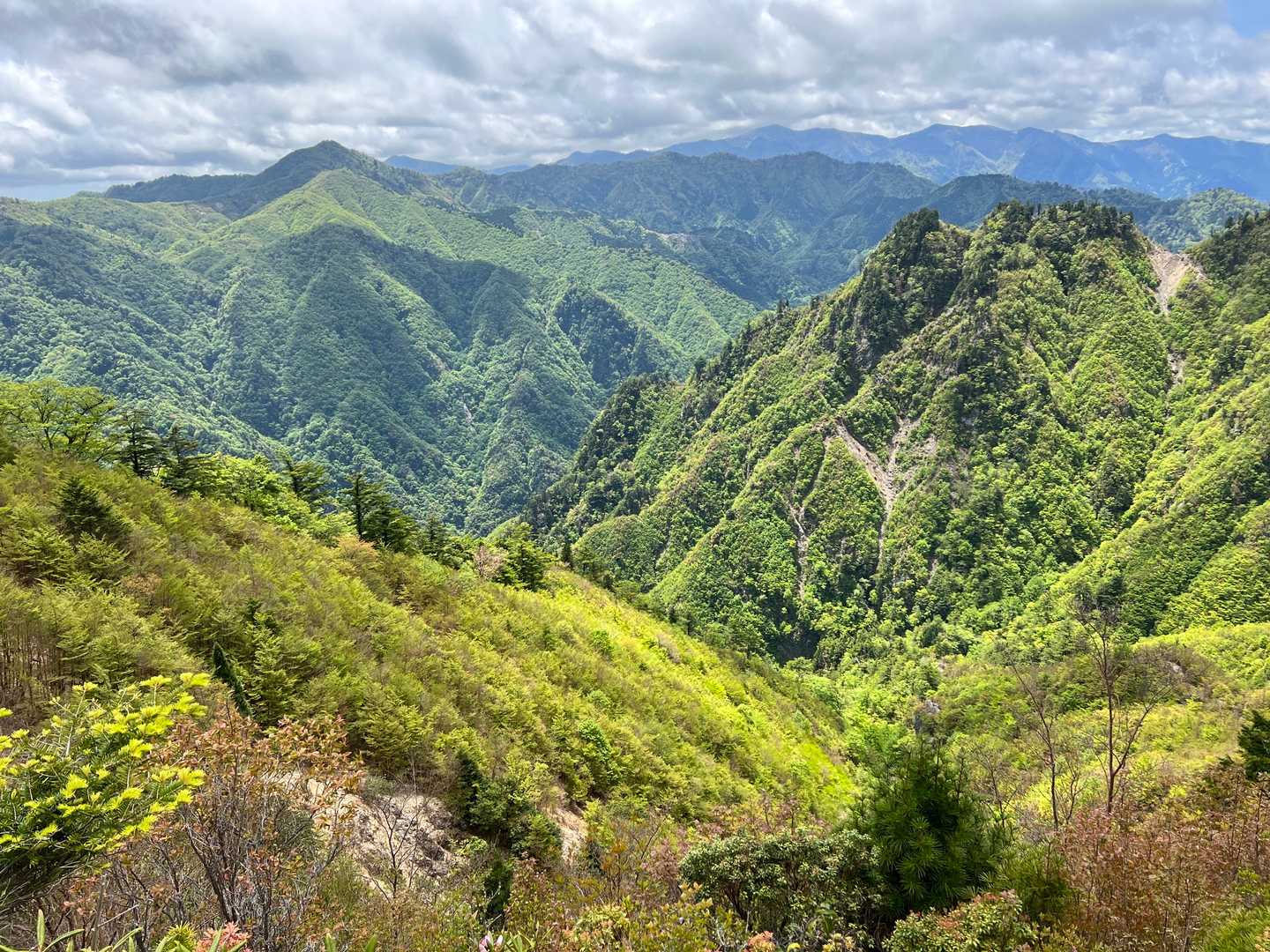 大和谷橋登山口-大杉国見山 往復コースの写真