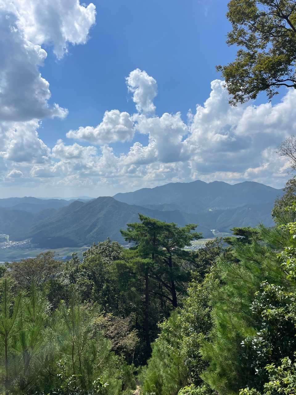 東山登山口-妙見山-牧野登山口 周回コースの写真