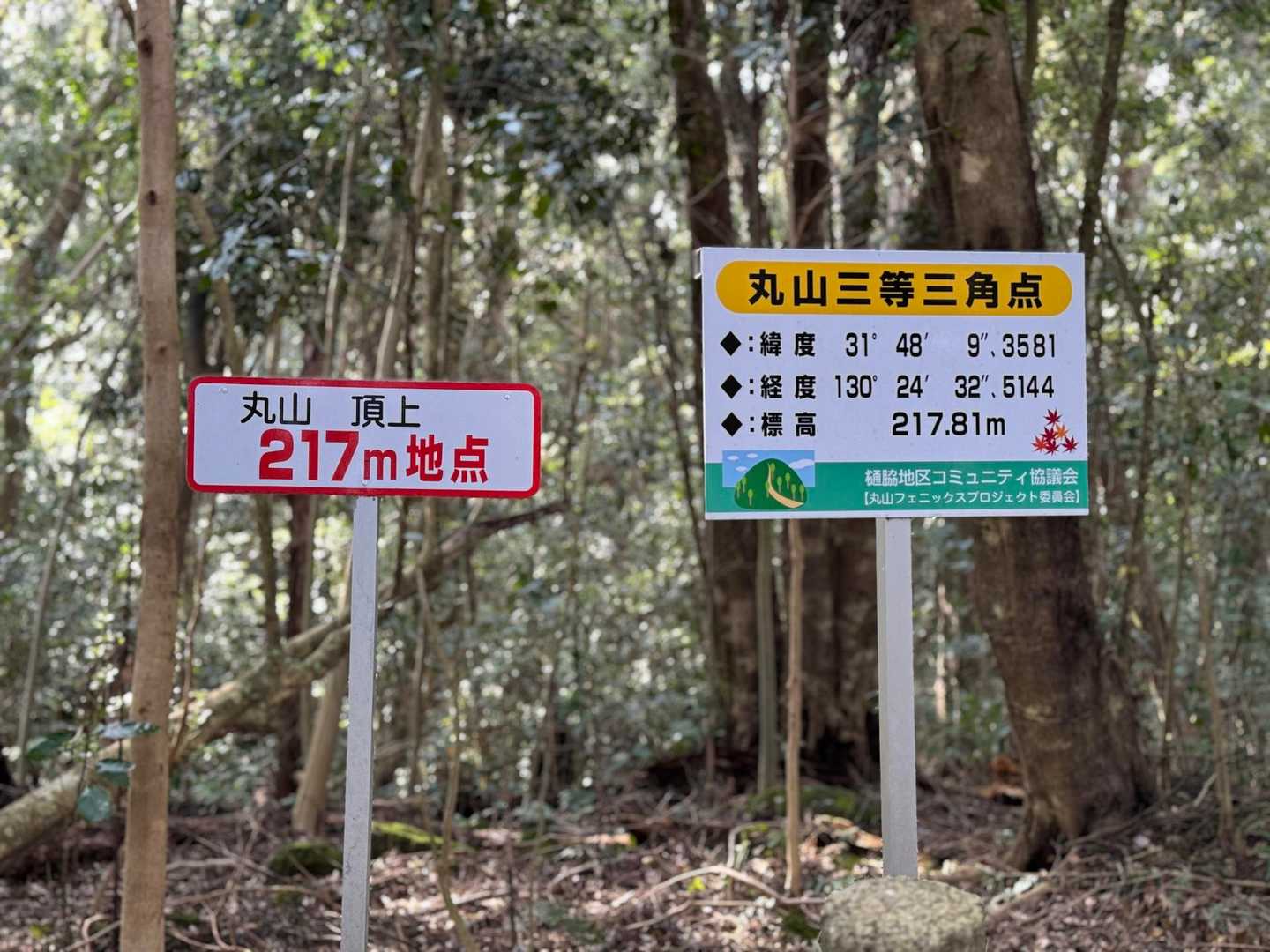 歩きやすい登山道
30分ほどで山頂