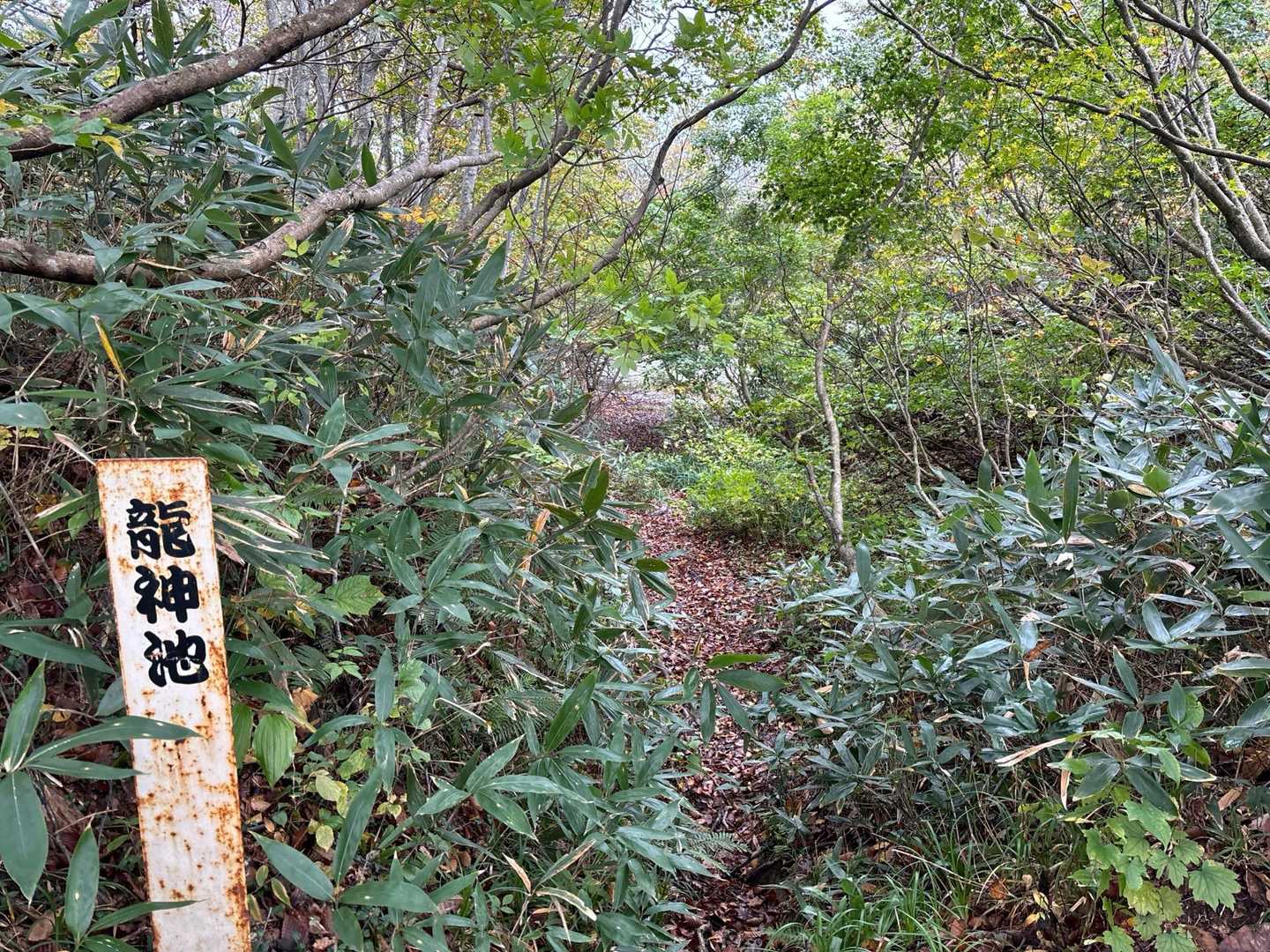 龍神池