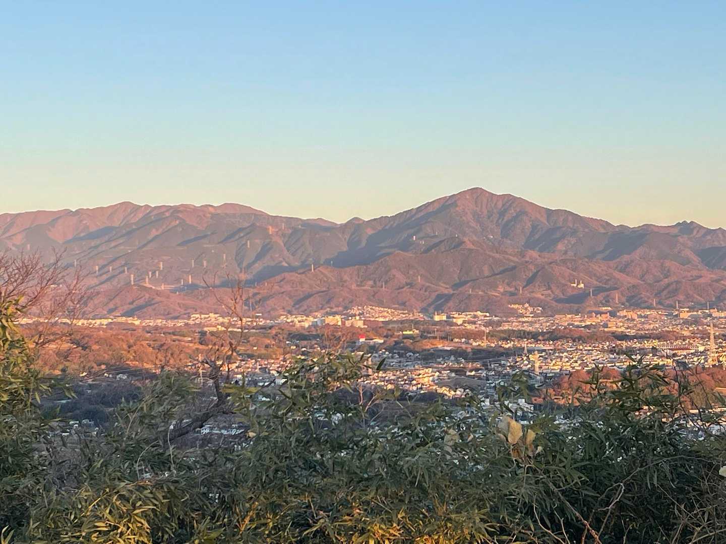 高麗山-浅間山 往復コースの写真