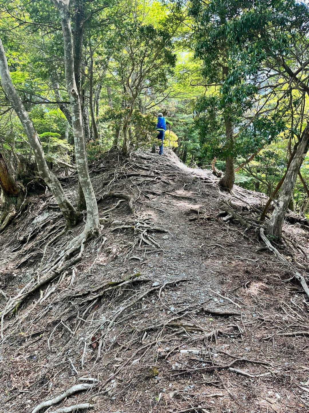 尾根沿いを🚶‍♀️