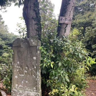 ポンポン山、標高28m登頂！笑