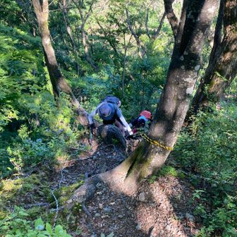 小葉谷コースは急坂続き
でもきょうは4人だから💪