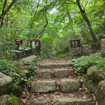 帰りは東門から
YAMAPはここで終了に…😓
同じ道を新神戸、三宮まで戻ります