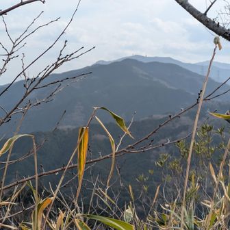 葛城山とその背後に金剛山　養老山系みたい　