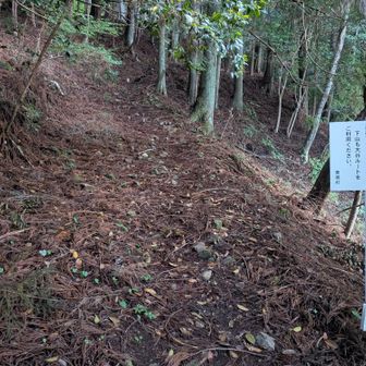行く道