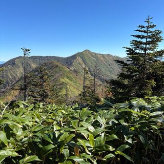 白砂山が見えて来た！