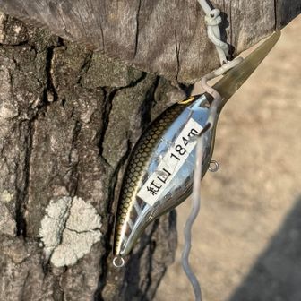 ルアーに標高書いてんのおもろい