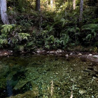 昼前に見たときと水の色が違って見えました。綺麗。登山口の手洗い水を汲もうとタンクを持ち上げると全て満水になっていました。本当にありがたい。