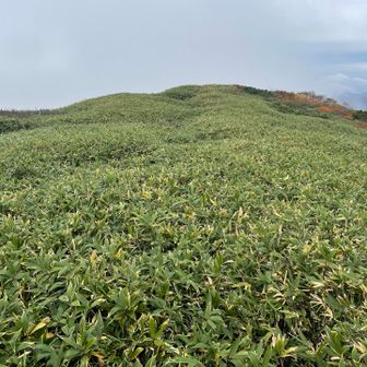 越前三ノ峰を目指します…