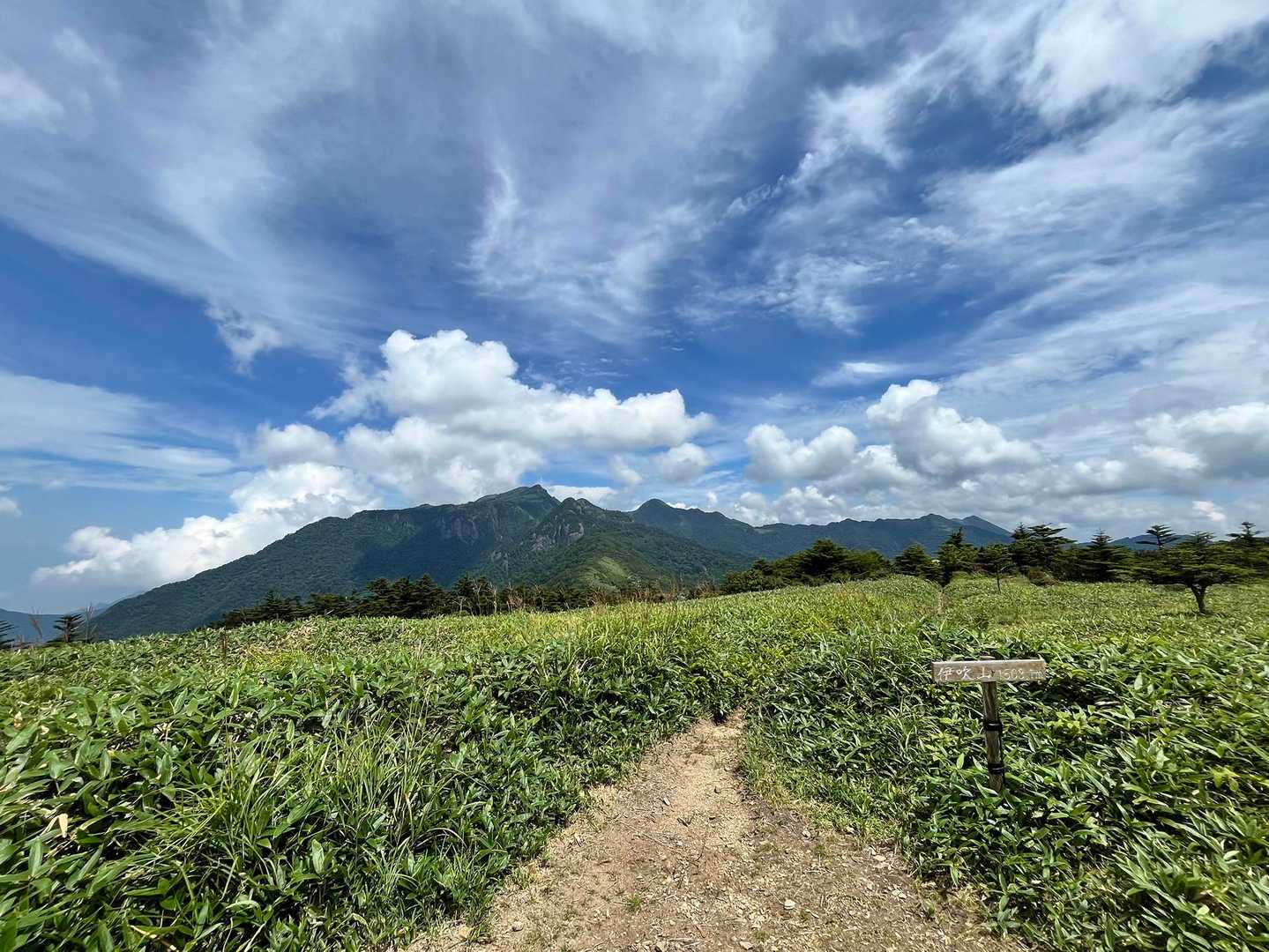 よさこい峠-伊吹山 往復コースの写真