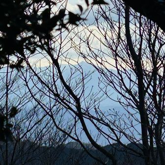 木の向こうに祖母山⛰️👀　下します