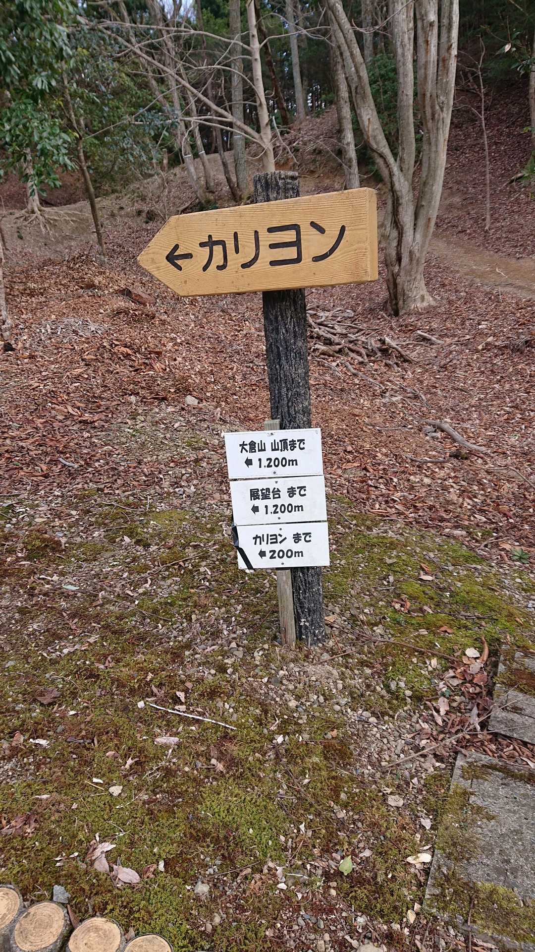 大倉山 周回コースの写真
