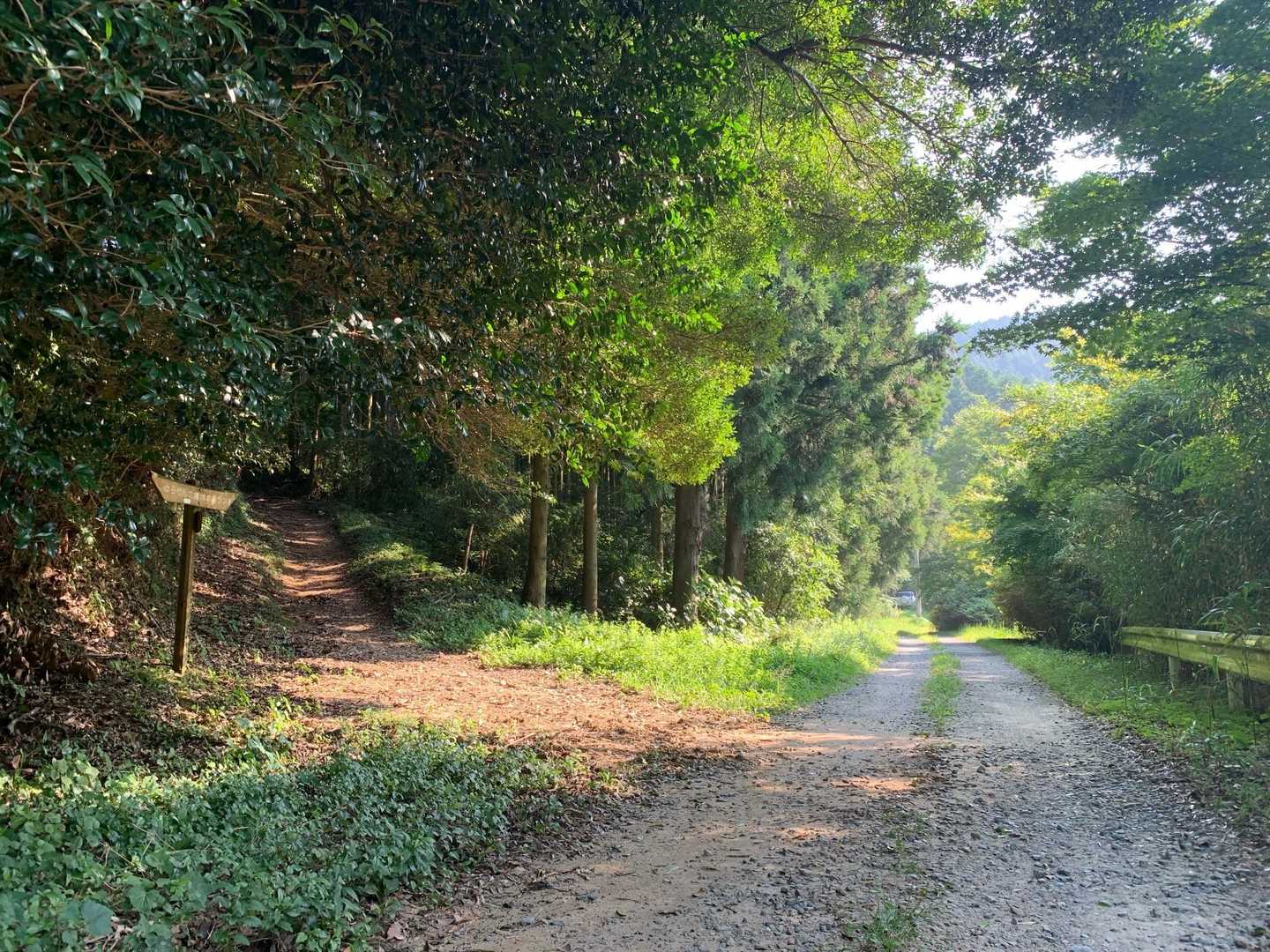 林道から左手の二丈岳へ