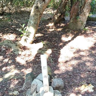 畝傍山着きましたが選んだルートが険し過ぎて足が少々痛いです
なので帰りは女性ハイカーさんに楽な道を教えて頂きました
ありがとうございました😊