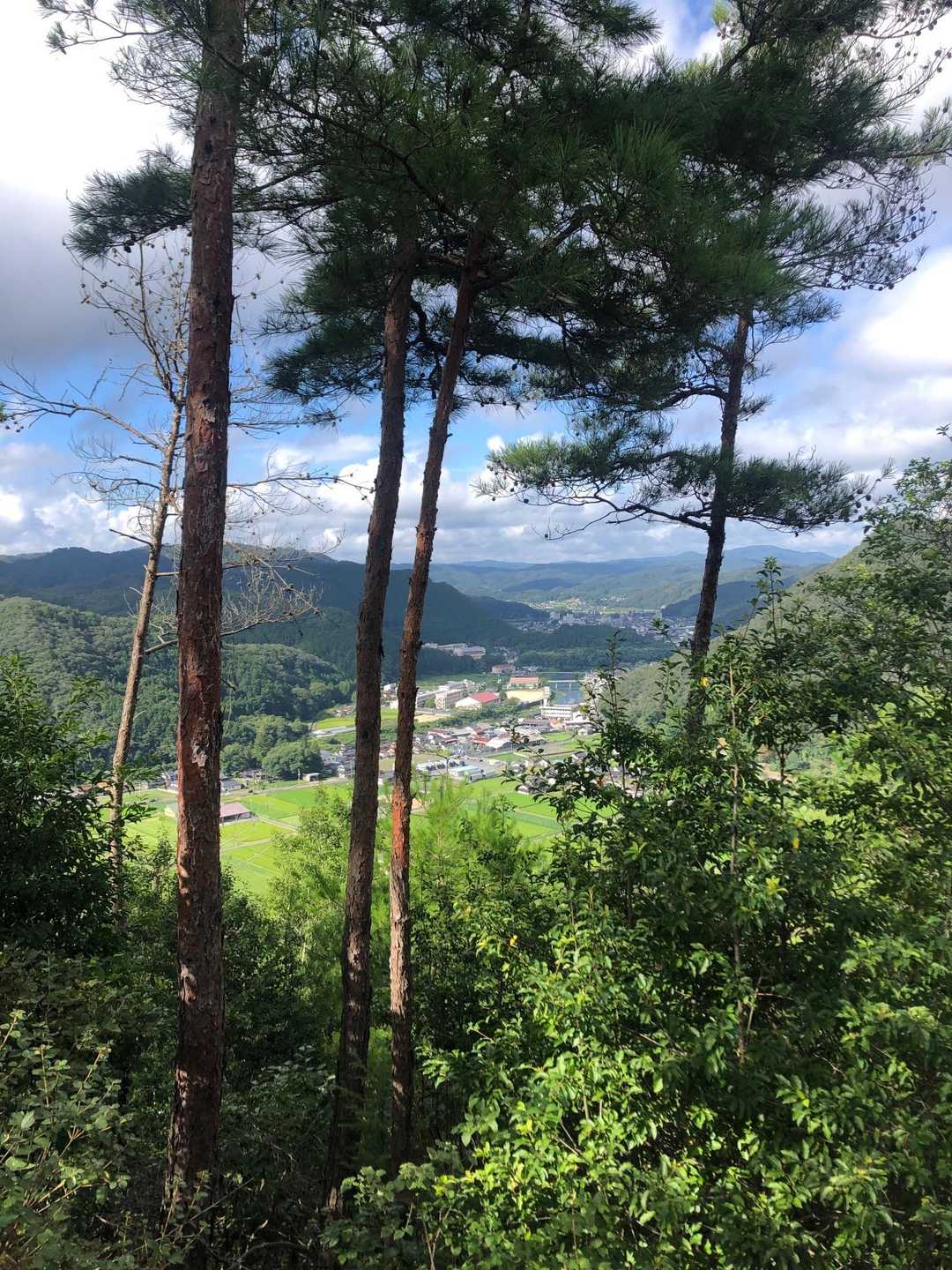 林野の町並みが見えてきました