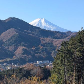登りだしの頃は良い感じに富士山が見えてました