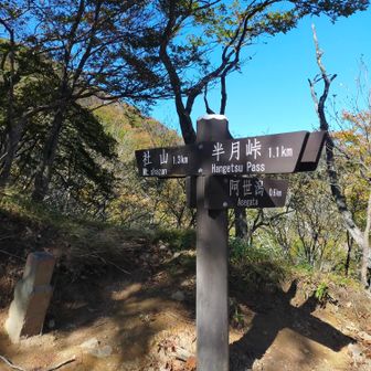 阿世潟峠に到着。
ここから社山山頂へ。