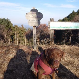 真顔ですが
沢山食べてご機嫌です
すんなりお座りしてカメラ目線をくれましたので