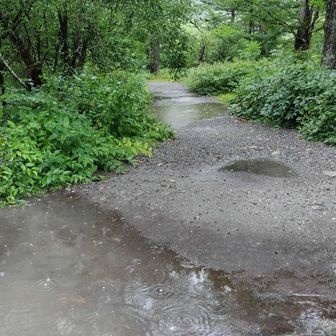 まさに豪雨