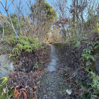 ここから登山開始！