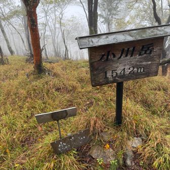 山頂に到着。
強風と雨が
撤退です。