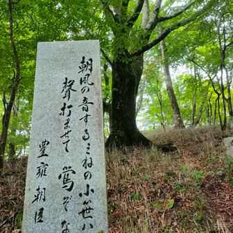 とても綺麗なブナの森🌳
そして、この歌碑
ネットより🙏
『高知県（土佐国）の九代藩主である山内豊雍（とよちか）が詠んだ和歌の一節です。漢字を現代仮名遣いなどに補足すると以下のようになります。「朝風の音する嶺の小笹原（こざさはら） 声打ちませて鶯（うぐいす）ぞなく」（朝風が吹き抜ける峰の小笹原で、声を響かせてウグイスが鳴いているよ）愛媛県四国中央市（旧金田町など）と高知県大豊町の県境付近に位置する「笹ヶ峰（ささがみね）峠」には、この歌が刻まれた石碑が建てられています。』