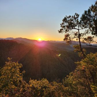 初日の出じゃ～‼️