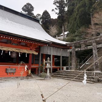 奉幣殿にも雪が無い