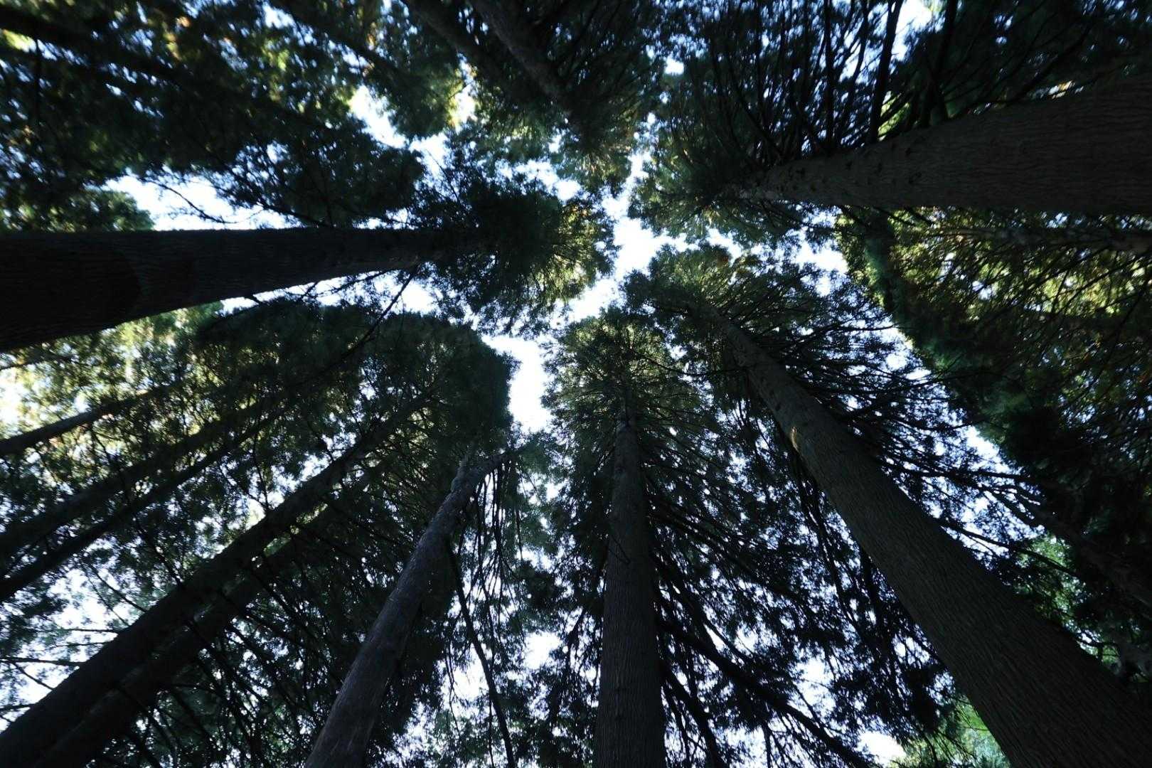 牛岳 周回コースの写真