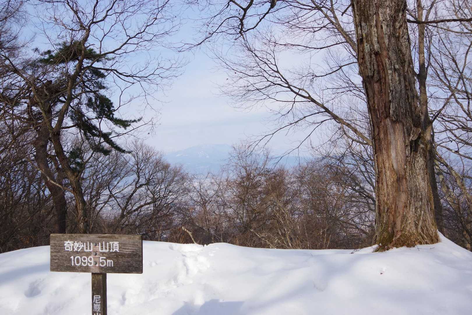 尼巌山-奇妙山 周回コースの地図・登山ルート・登山口情報 | YAMAP