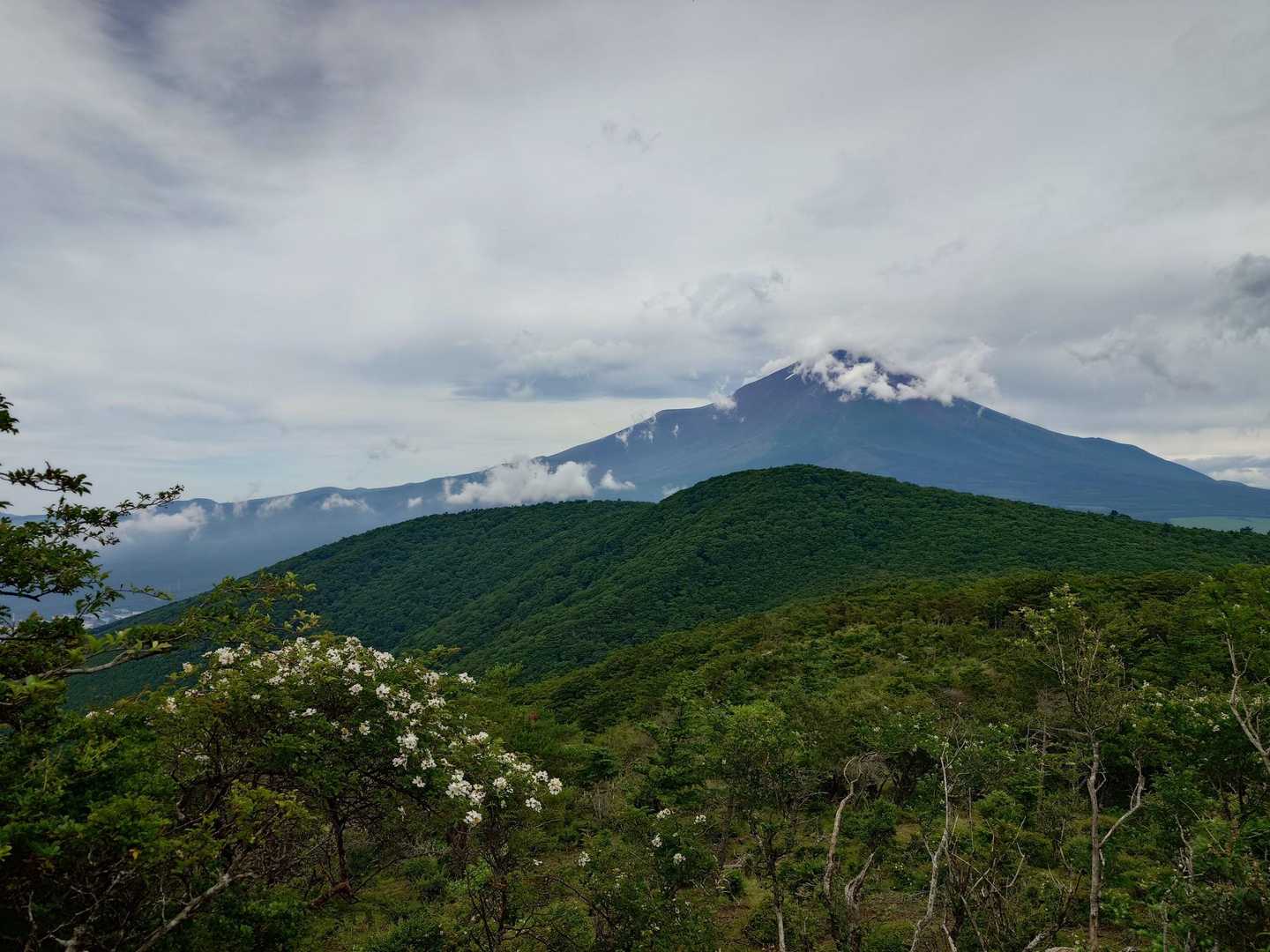 唯一見えた富士山🗻