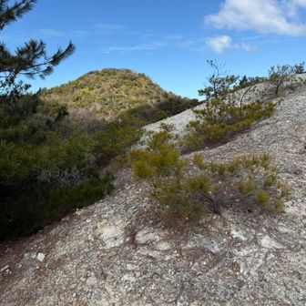 紀泉アルプス・飯盛山・ボンデン山 絵になるなぁ